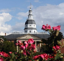 The Maryland State House dome is seen behind blooming pink flowers under a partly cloudy sky.