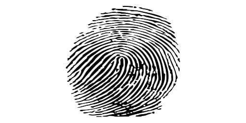 Black and white image of a fingerprint with visible ridge patterns on a white background.